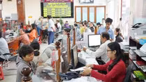 Agribank tích cực hỗ trợ người nông dân trồng hồ tiêu