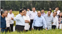 Tầm nhìn thế kỷ từ chuyến bay đặc biệt của Thủ tướng