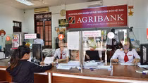 Agribank khuyến cáo khách hàng trước các thủ đoạn lừa đảo