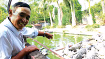 Thay áo mới cho vùng đất hoang vu