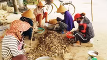 Neo cuộc đời nơi cửa sông Nhật Lệ