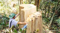 Thảm họa bão lụt: Con người không thể vô can