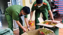 Gặp Công an, 3 đối tượng bỏ lại ô tô và 250kg pháo nổ 