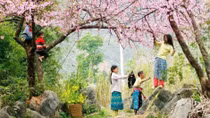 Đáy đĩa mùa đi nhịp hải hà