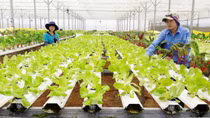 Doanh nghiệp phải biết tận dụng cơ hội và kết nối