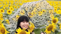 Hoàng Thụy Anh - Đa thanh văn bản lạ