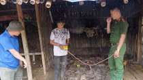 Truy tìm hung thủ giữa rừng sâu