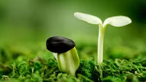Chiều cuối năm