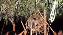 Chuyện ở Ma Coong