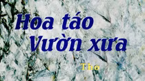Đôi nét thơ buồn gửi gió mưa...