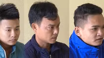 Lừa đảo bán lan đột biến HO