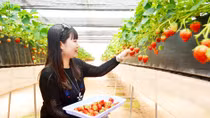 Du lịch không chỉ ở phố