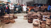 Kiểm tra “kho” gỗ nghiến, phát hiện ma túy tổng hợp