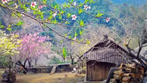 Mưa xuân