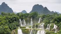 Vấn đề sinh thái trong thơ Việt