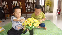Trái tim không tật nguyền