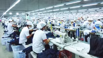 Dệt may Việt cần tạo sự khác biệt trên thị trường nội địa 