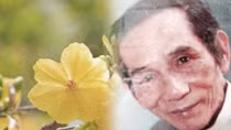Có một cõi Yến Lan “vô thường”