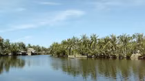 Bàng bạc phía đầu sông