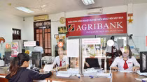 Cung ứng đủ vốn cho nông nghiệp, nông thôn, Agribank góp phần đẩy lùi tín dụng đen