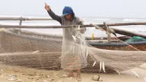 “Lộc biển” gần bờ