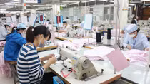 Ngành Dệt may cần chủ động nguồn nguyên liệu để gỡ khó