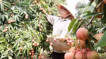 Cách mạng công nghiệp 4.0 hứa hẹn tăng quy mô GDP