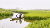 Những người vẽ cánh đồng