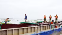Chống “cát tặc” ở xứ dừa