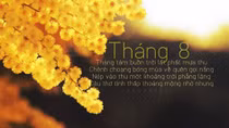 Tháng 8