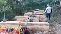 Trạm trưởng chỉ đạo " băm, hủy, phi tang" gỗ tang vật vi phạm