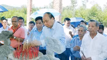 Thủ tướng dâng hương tưởng niệm các anh hùng liệt sĩ