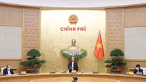 Ứng phó với mọi tình huống của dịch
