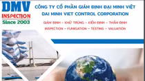 Khẩn trương điều tra, xử lý vi phạm trong cấp C/O của Công ty Đại Minh Việt