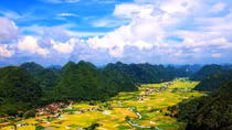 Bay trong thung lũng hoa