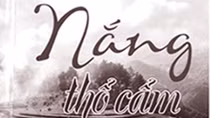 Thêu nắng vào chiều...