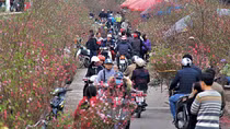 "Bình thường mới" của Tết