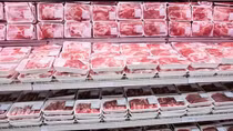 Việc nhập khẩu thịt lợn tăng cao thời điểm dịch tả lợn châu Phi hoành hành