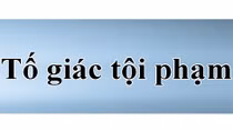 Cơ quan điều tra trong CAND tiếp nhận tố giác, tin báo về tội phạm, kiến nghị khởi tố 24/24h