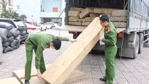Bắt giữ xe tải vận chuyển gỗ không rõ nguồn gốc