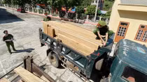  Liên tiếp bắt giữ các vụ vận chuyển số lượng lớn lâm sản trái phép