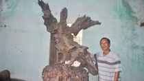 Người tạo "hồn" cho gỗ lũa
