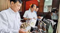 Sản phẩm OCOP hướng tới tiêu chuẩn quốc tế