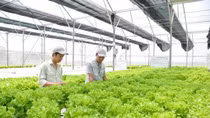 VietinBank đồng hành cùng Nông nghiệp sạch Việt Nam