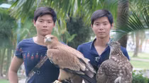 Kì công với thú vui huấn luyện "chúa tể bầu trời"