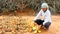 Cần xây dựng "văn hóa biết dị ứng với cái xấu"