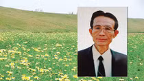 Cỏ non như thể bùa mê…