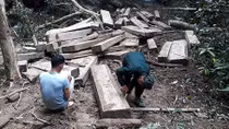 Liên tiếp phát hiện 2 vụ phá rừng tại Kon Tum