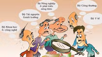 Bộ Nông nghiệp và Phát triển nông thôn “tuýt còi” quyết định của UBND tỉnh Cà Mau