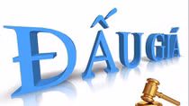 Tổ chức đấu giá: Khai thác rừng trồng cây keo